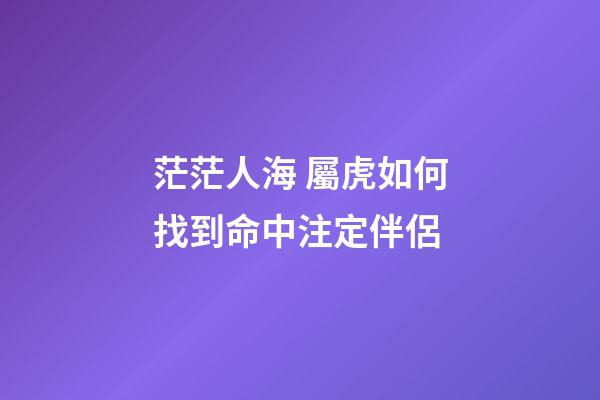 茫茫人海 屬虎如何找到命中注定伴侶
